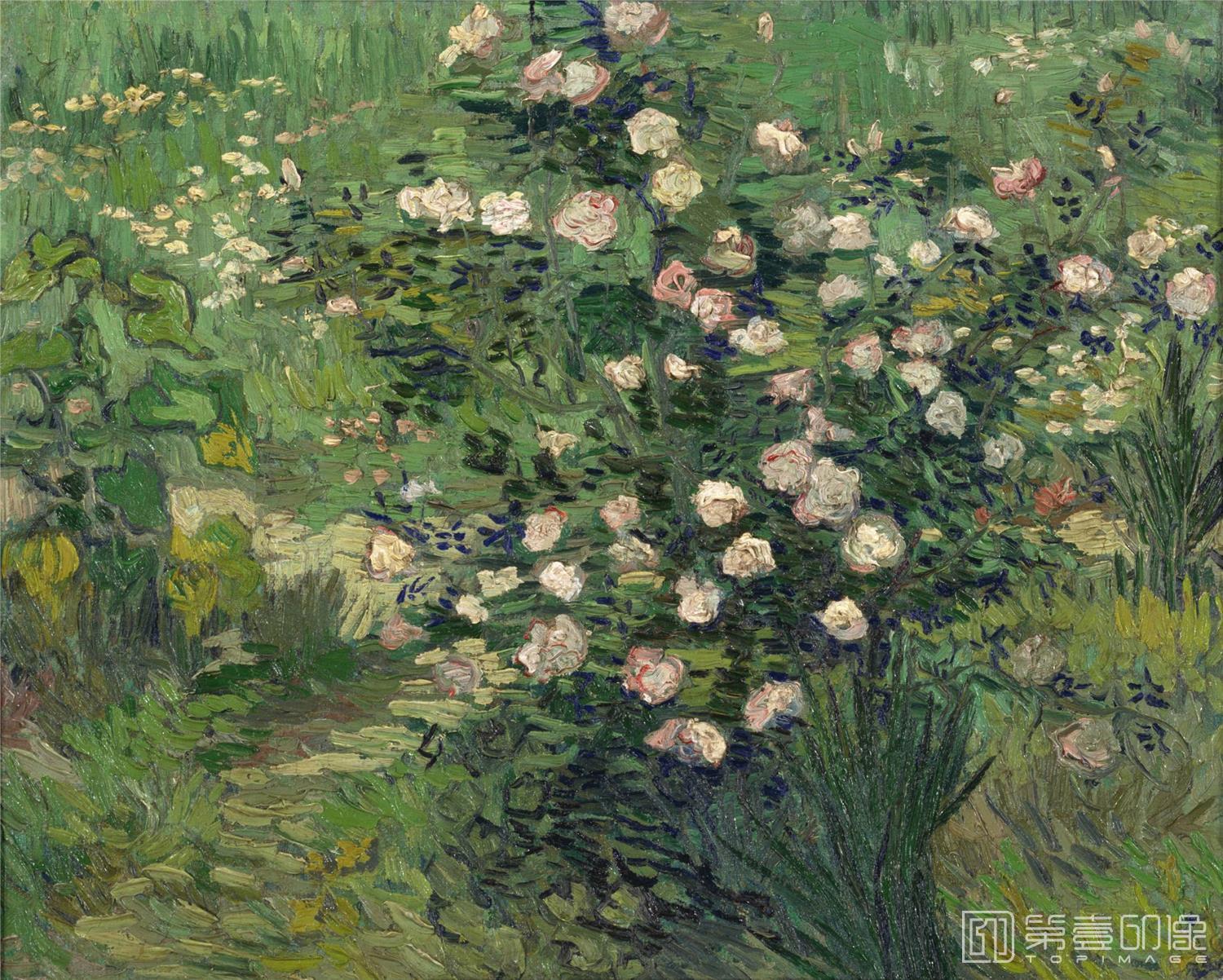 油画-文森特·威廉·梵高 Vincent Willem van Gogh-Roses 1889-366